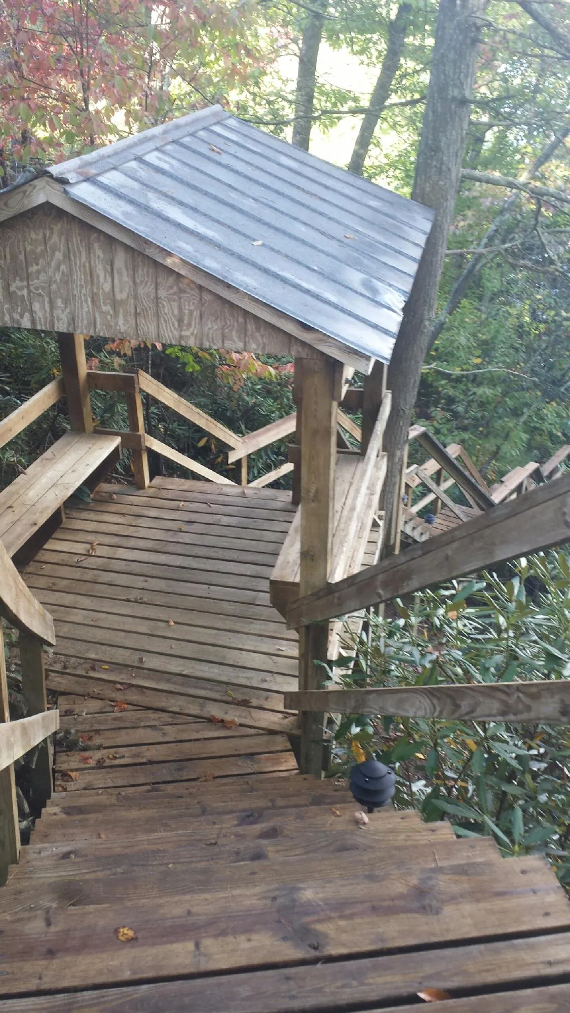 Metal roofed shelter over wooden steps on a wooded walkway — Skylight Repair & Installation work by our crew in Delong